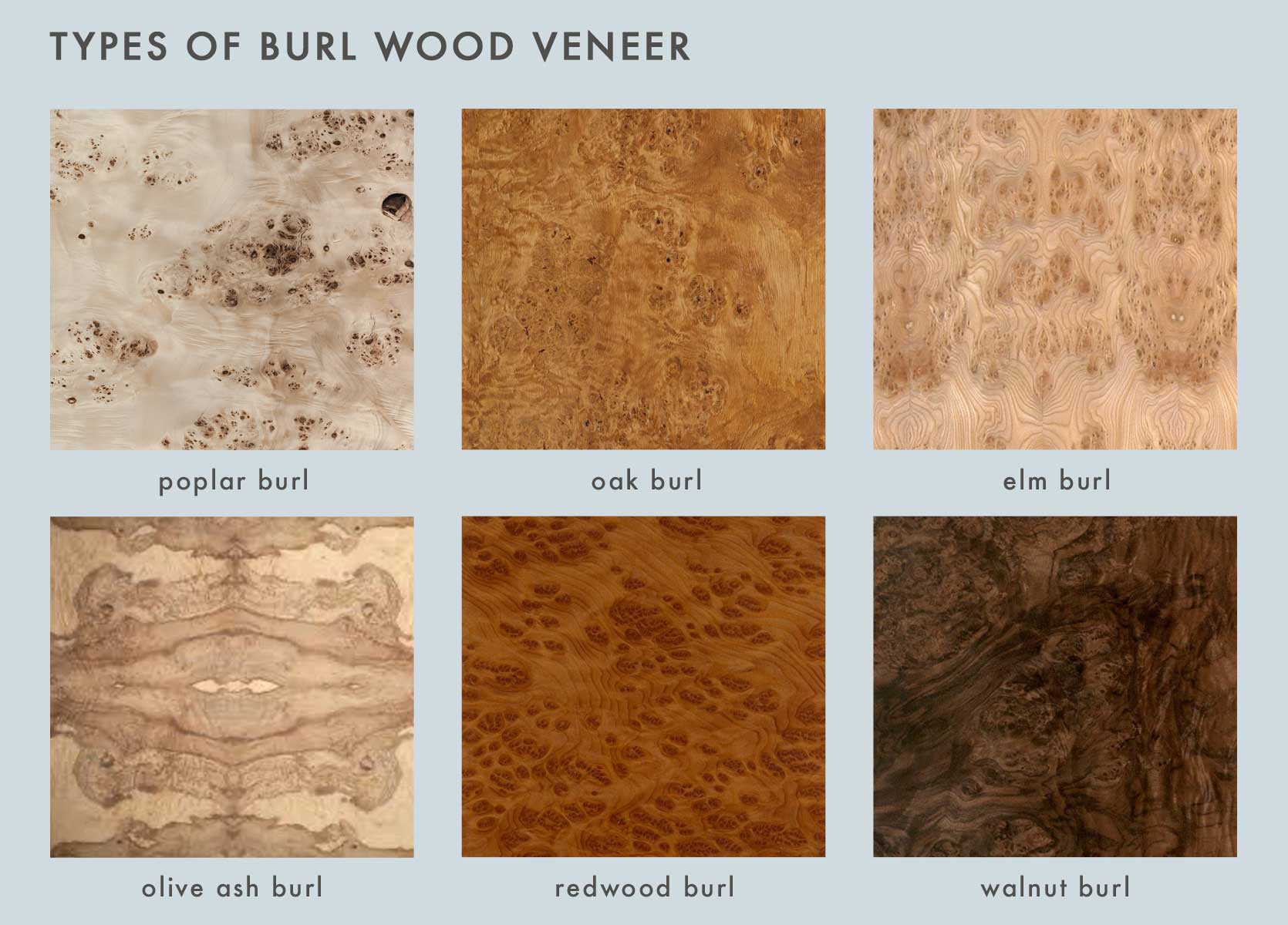 Tyles of burl wood