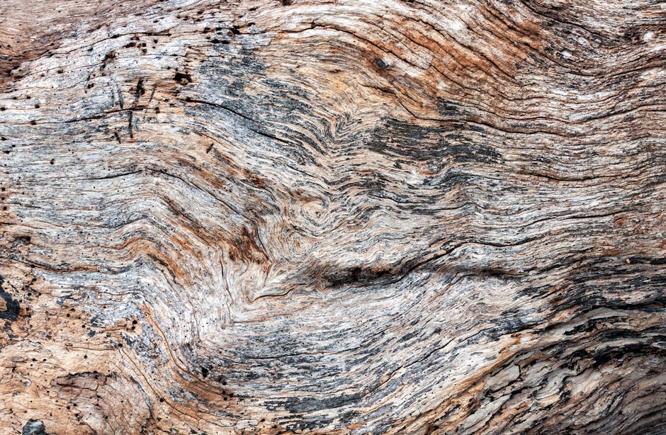 handcrafted driftwood wall shelf close up texture