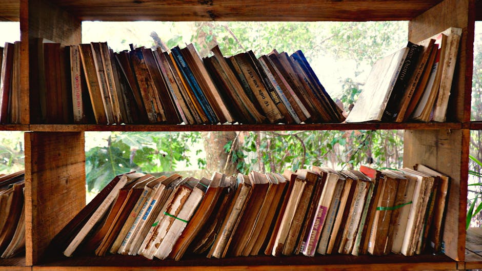 natural weathered wood bookshelf with books